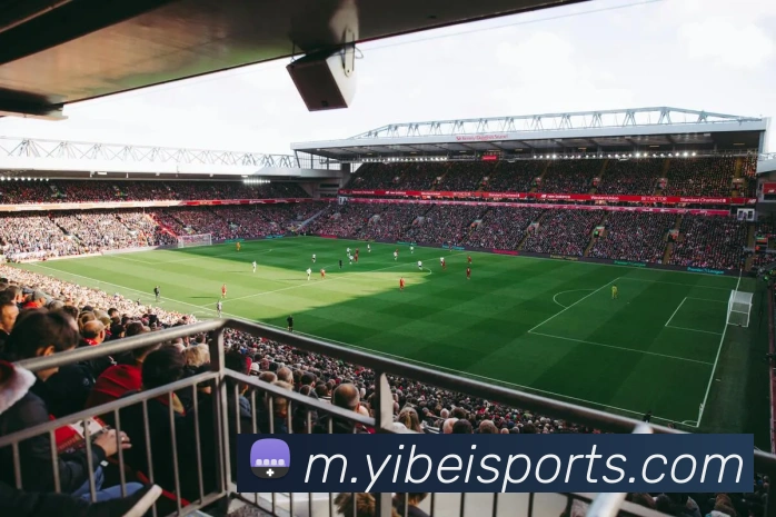 易倍体育平台生态图