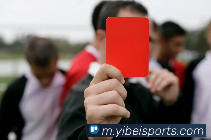 易倍体育APP 封面图